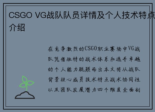 CSGO VG战队队员详情及个人技术特点介绍